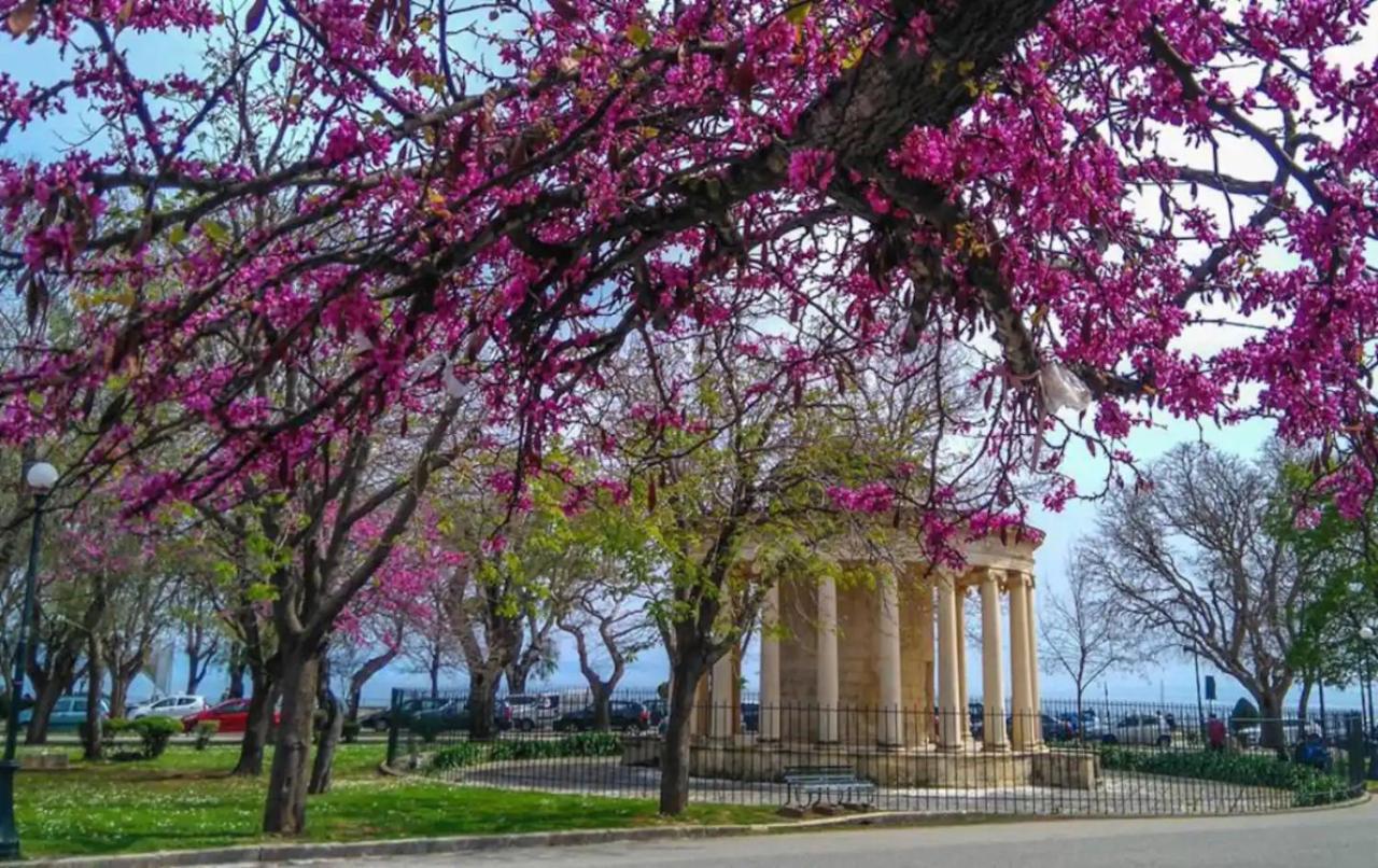 Corfu Studio In Historic Unesco City Centre エクステリア 写真